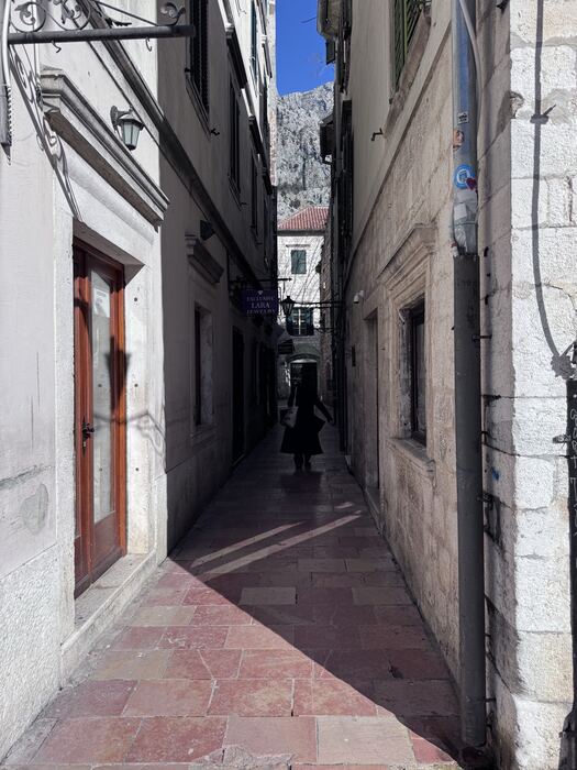 Kotor