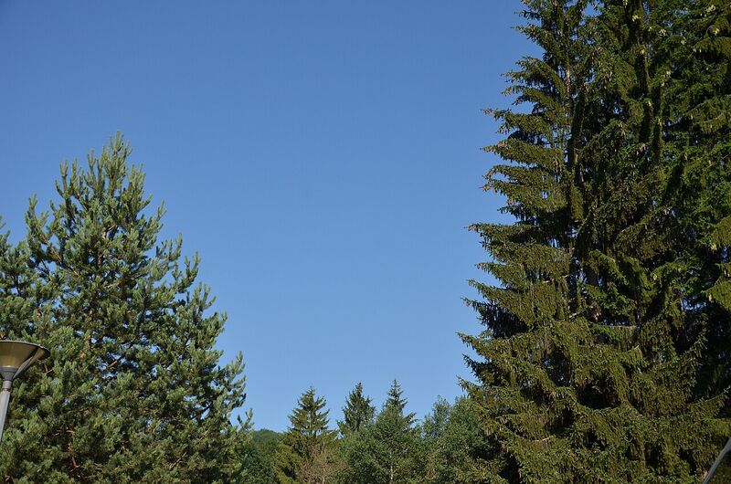 Kolašin