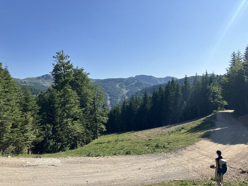 Kolašin