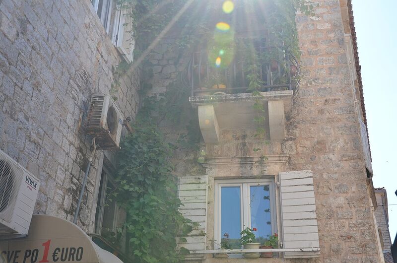 Kotor